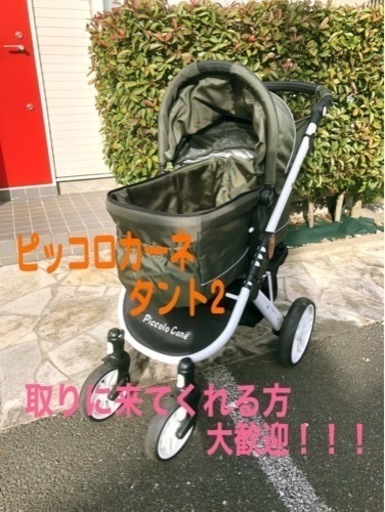 【大人気‼︎】ピッコロカーネ　タント2