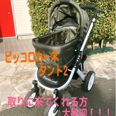 【大人気‼︎】ピッコロカーネ　タント2
