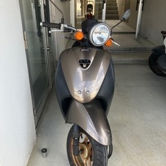 HONDA Today 原付50cc