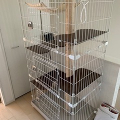 キャットケージ　アイリスオーヤマ　３段ワイド