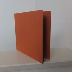 ☆新品未使用☆特厚画用紙アルバム