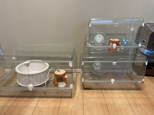 グラスハーモニー　セット