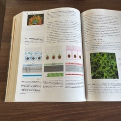 エッセンシャル　細胞生物学の画像