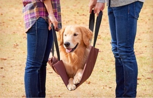 超大型犬用　カート