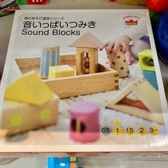 ■店頭引取限定■美品☆エドインター　音いっぱいつみき♪定価5500円