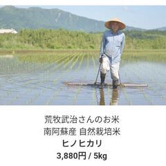 玄米5kg【自然栽培　南阿蘇産】