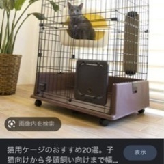 猫 ゲージ
