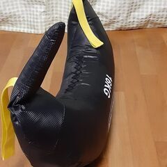 ブルガリアンサンドバックの画像