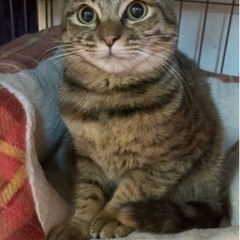新しい家族ができました♡すっっごく臆病な性格で、とにかく怖がり。...