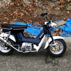 決まりました。ホンダシャリー50