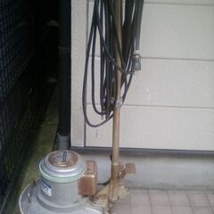 ペンギン　ポリッシャーの画像