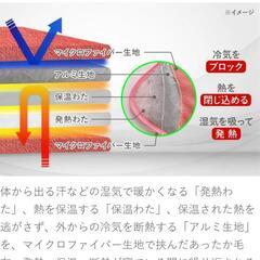本日限定投稿】届いたばかり！！新品未使用！ひな暖毛布シングル