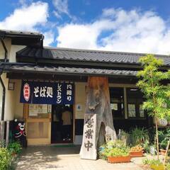 阿蘇カーツーリング～「一心行の大桜」と「月廻り公園」を訪ねるツアー（全行程約１００キロ） - メンバー募集