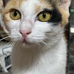 ご縁ありました🍀