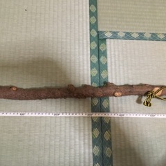 すり鉢　すりこぎ　山椒の木の画像