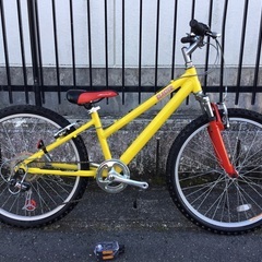 希少 Karl Lagerfeld ヴィンテージ ブローチ イヤリング セット