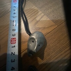 石井竜也　ビデオの画像