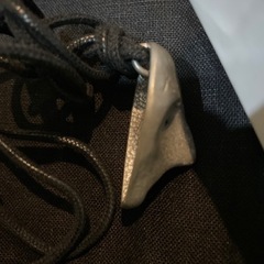 石井竜也　ビデオの画像