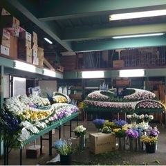 お花の知識がない方でも始めれます!!セレモニー生花装飾 配送スタッフ