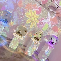 募集♥