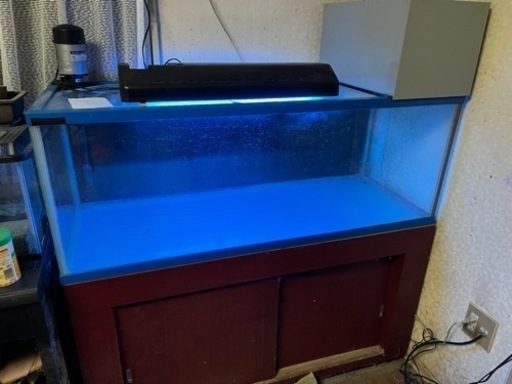 １２００センチ水槽