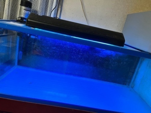１２００センチ水槽