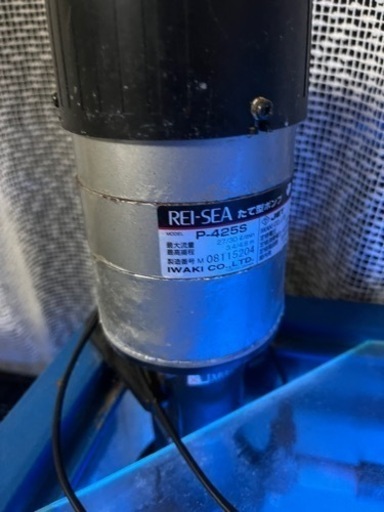 １２００センチ水槽