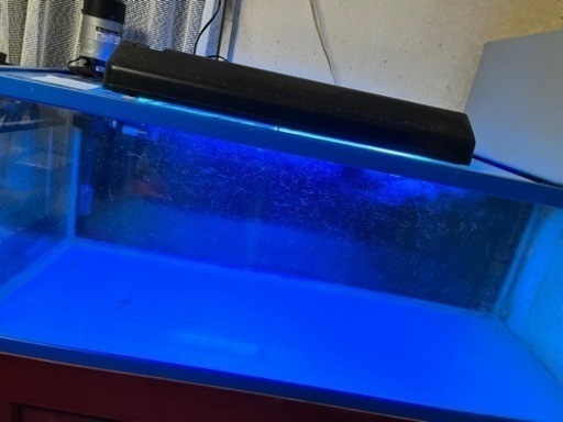 １２００センチ水槽