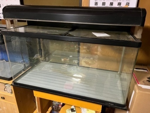 ９００センチ水槽