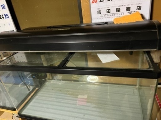 ９００センチ水槽