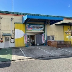 犬、猫保護シェルターでのお仕事の画像