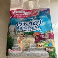 マナーウェア 犬用オムツsssサイズ女の子用