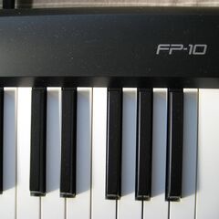 ROLAMD fp-10の画像