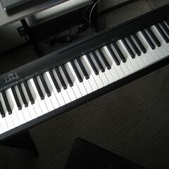 ROLAMD fp-10の画像