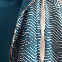 Nike hoody nylonの画像