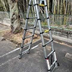 【決まりました】伸縮式はしご