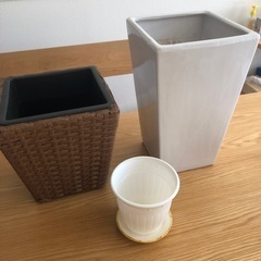 観葉植物の鉢　プランター