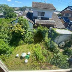 🌿草刈り🌿　草木の処分もお任せ❗ - 地元のお店