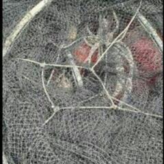 漁網　現状品　定置網　漁師　松浦　の画像