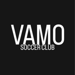 個人レッスン型サッカースクールVAMO塾