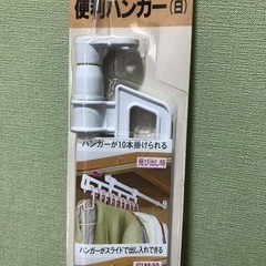 押し入れハンガーの画像