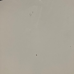 【取引中】6月末に処分します！ニトリ★ダイニング5点セットの画像