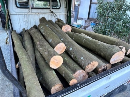 未乾燥、玉切りした広葉樹、薪、軽トラ平積み