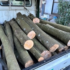 未乾燥、玉切りした広葉樹、薪、軽トラ平積み