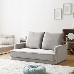 ★無料★LOWYA　2人掛けソファ ベルベット調グレー★