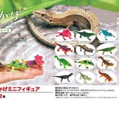 とかげミニフィギュア 全12種 1セットの画像