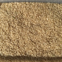 新米 令和4年産 ひとめぼれ玄米 30kg 
