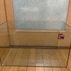 再投稿　水槽　2/19引取り希望