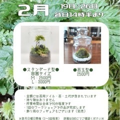 【葛飾区立石】26日に苔テラリウムのワークショップを開催します（...