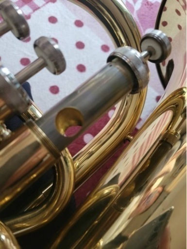 【ユーフォニアム】SELVA Euphonium SELVA  SEP-100GL